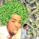 Image for article titled Onimusha and His Tree Subject Of New Taiwan Meme